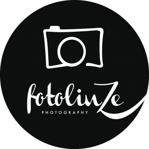 Despinar_Fotolinze-Logo