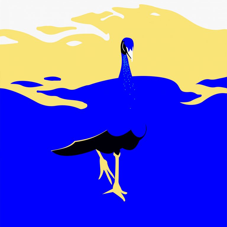 despinar Illustration Pfau